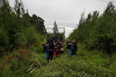 IMG-20170913-WA0025
