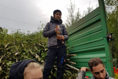 IMG-20170913-WA0045
