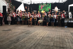 IMG-20170919-WA0048