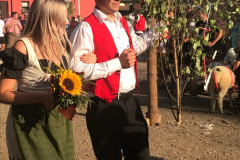 IMG-20180917-WA0041