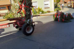 IMG-20190915-WA0056