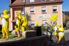 IMG-20190915-WA0063