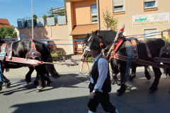 IMG-20190915-WA0069