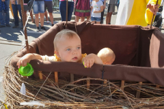 IMG-20190916-WA0024